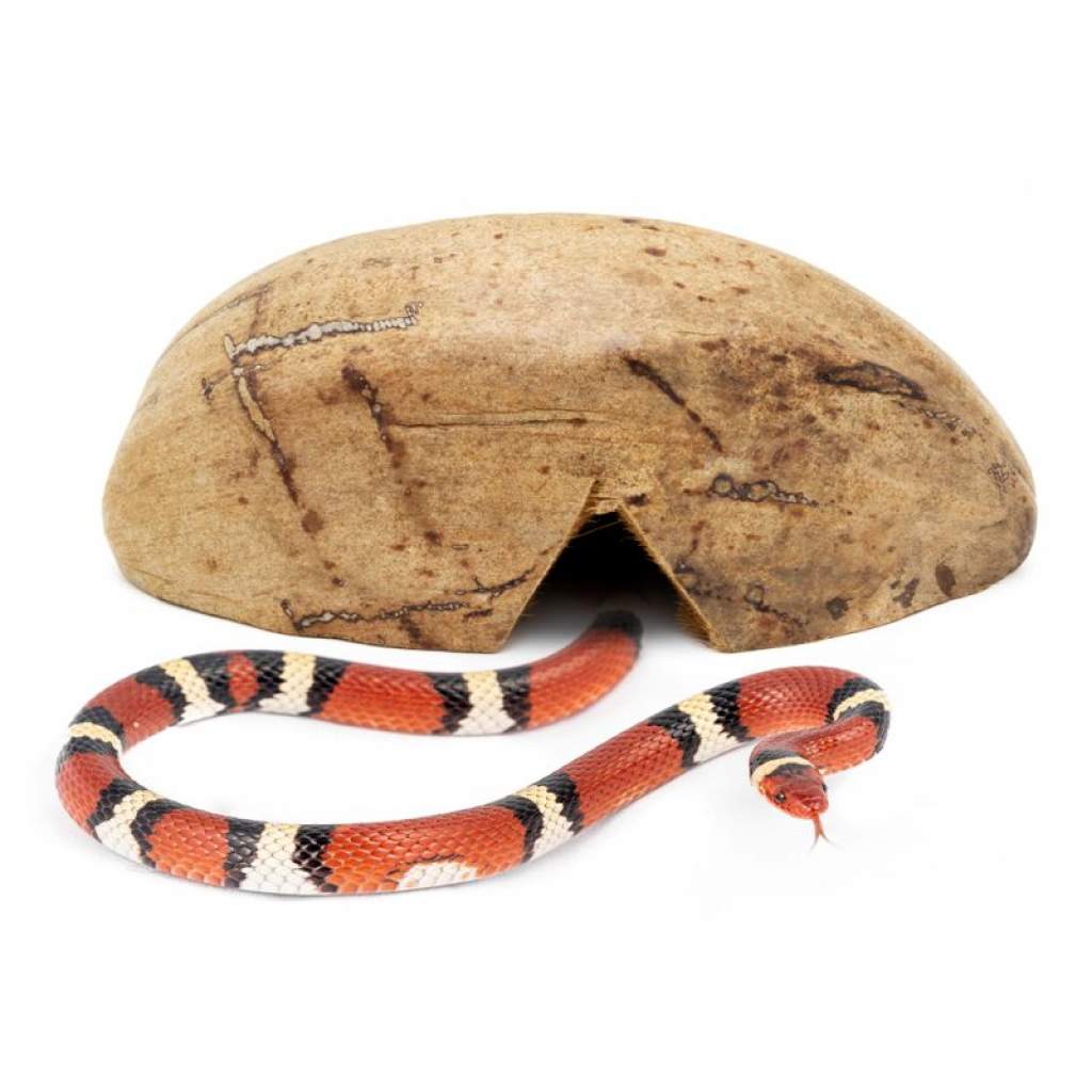 Kokos-Halbschale - Versteck